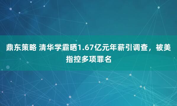 鼎东策略 清华学霸晒1.67亿元年薪引调查，被美指控多项罪名