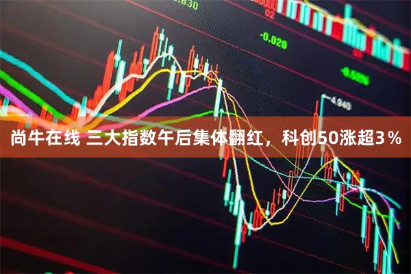 尚牛在线 三大指数午后集体翻红，科创50涨超3％