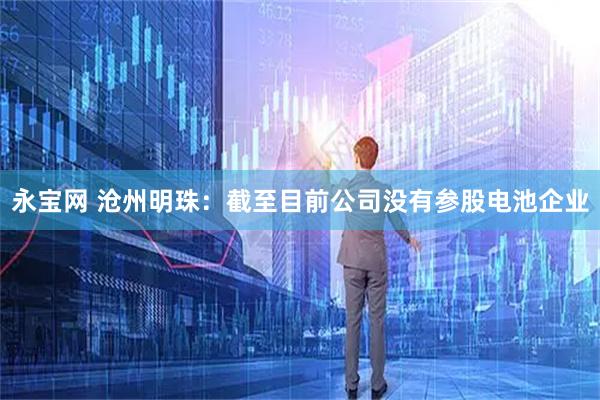 永宝网 沧州明珠：截至目前公司没有参股电池企业