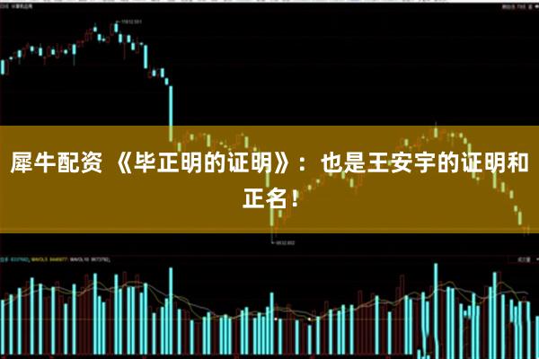 犀牛配资 《毕正明的证明》：也是王安宇的证明和正名！
