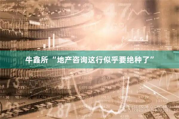 牛鑫所 “地产咨询这行似乎要绝种了”