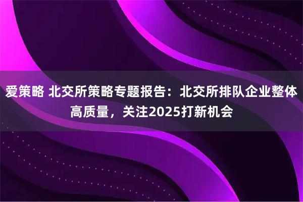 爱策略 北交所策略专题报告：北交所排队企业整体高质量，关注2025打新机会